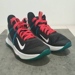 USED LEBRON WITNESS IV SIZE 12